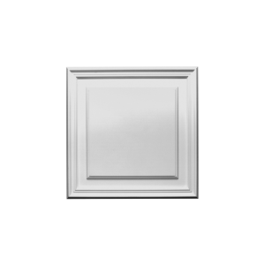 D506 ORAC LUXXUS door panel 43 x 43x 1,5